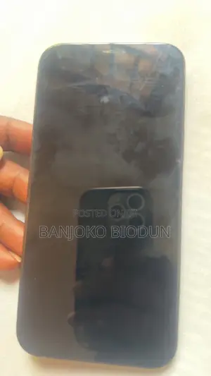 Apple iPhone 12 Pro Max 256 GB Blue