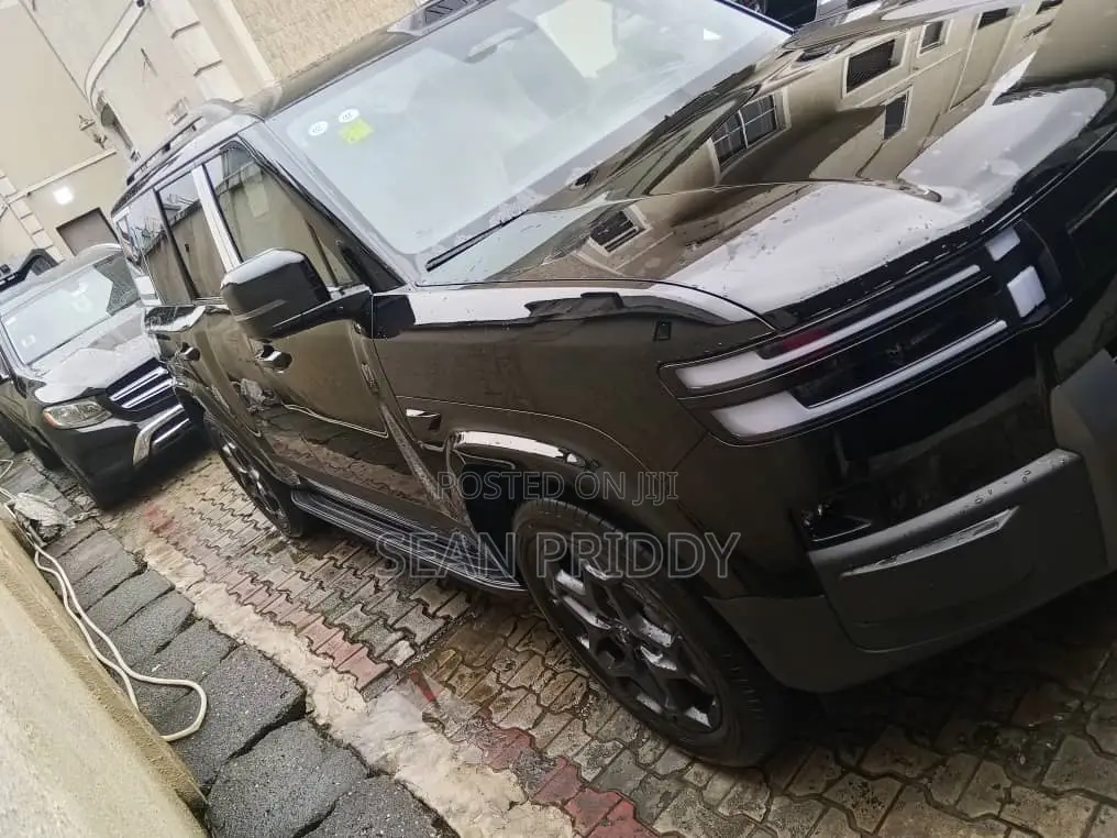 New BYD Leopard 7 2025 Black