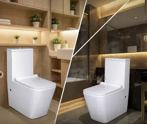 Water Closet White Ceramics