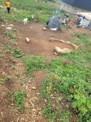 Land for Sell
