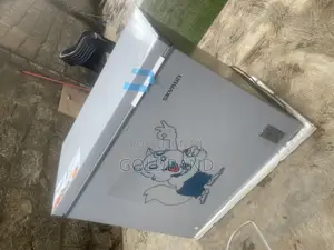Skyrun BCD-250AI Inverter Freezer – 200L of Cooling Power