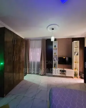 Furnished Studio Apartment in Asokoro for rent