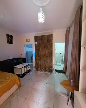 Furnished Studio Apartment in Asokoro for rent