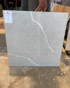 Elano Grey Porcelain 60x60cm for Home and Office Use