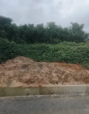 100 by 50 for Sale at Ugolo Near Osubi Delta State