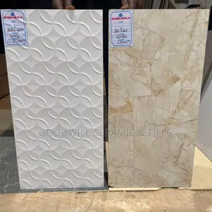 30x60 Porcelain Wall Tiles