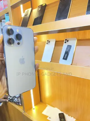 Apple iPhone 13 Pro 128 GB Gray
