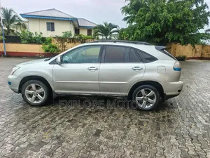 Lexus RX 2008 Silver