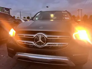 Mercedes-Benz GLE-Class GLE 450 4MATIC 2020 Gray