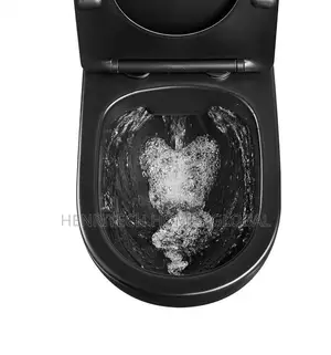 Black Matt Conceal Water Closet Premium Quality England Standard