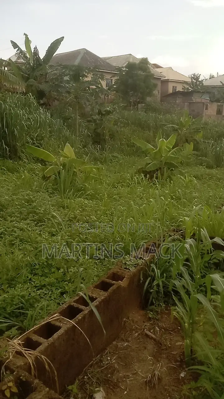 (1 1/2 Plot) for Sale