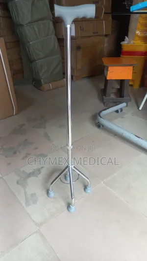 Walking Stick