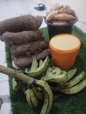 Combo Package