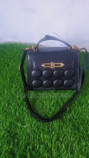 Ladies Should/Hand Bag