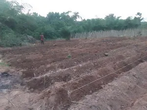 Farm Supervisor