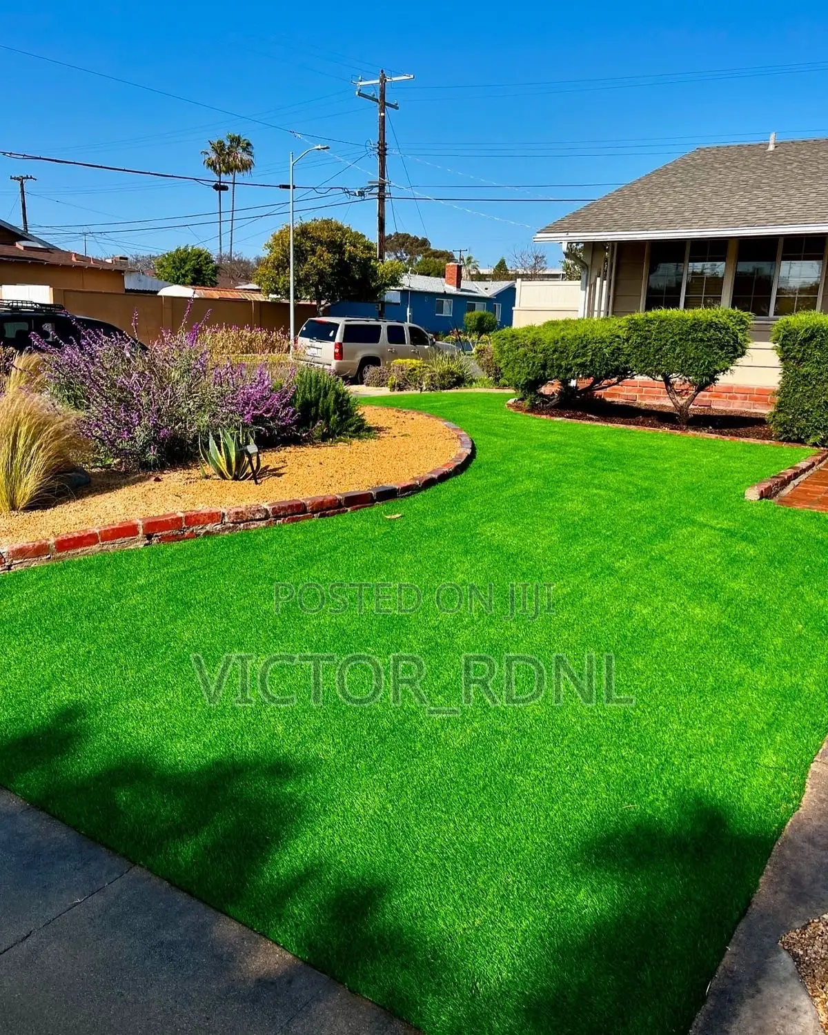 Fresh Beautiful Artificial Grass