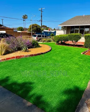 Fresh Beautiful Artificial Grass