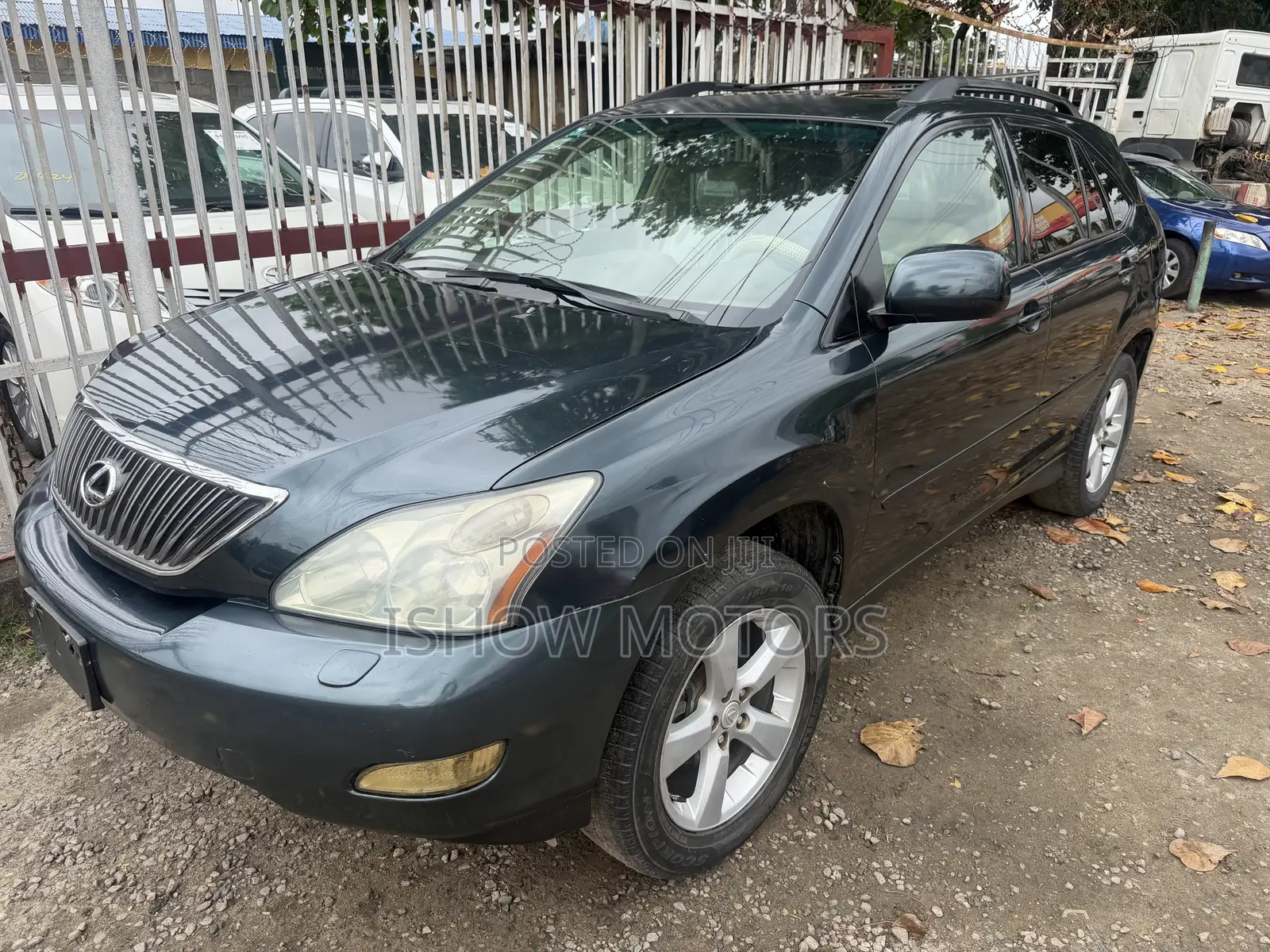 Lexus RX 330 2005 Gray