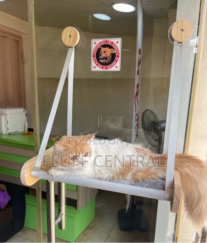 Paws & Chicks Purr-Fect Perch: Kitty Window Hammock