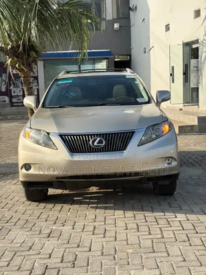 Lexus RX 2011 Gray