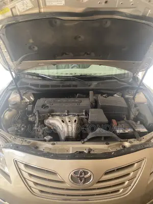 Toyota Camry XLE 4dr Sedan (2.4L 4cyl 5A) 2009 Gold