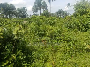 Land and Property