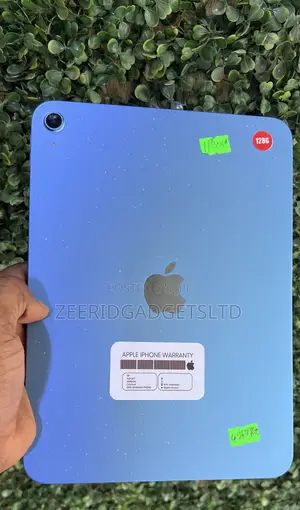 Apple iPad (2025) 128 GB Blue
