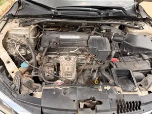 Honda Accord 2014 Gold