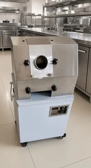 Sugarcane Juicer