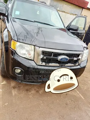 Ford Escape 2011 Black