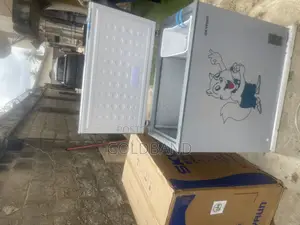 Skyrun BCD-250AI Inverter Freezer – Cool Performance, Ample Space
