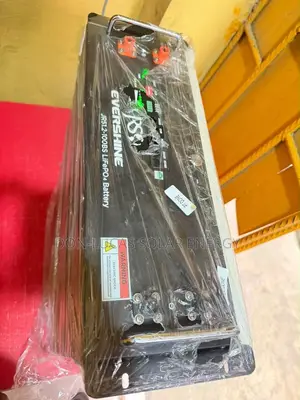 5kwh 48v Evershine Lithium Ion Battery 100ah