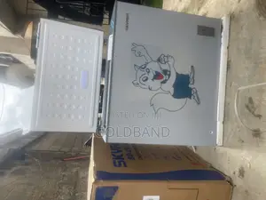 Skyrun BCD-250AI Inverter Chest Freezer – A Better Way to Freeze