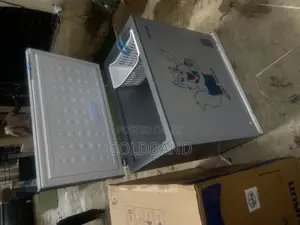 Skyrun 200L Inverter Freezer – Spacious Storage for Day Living
