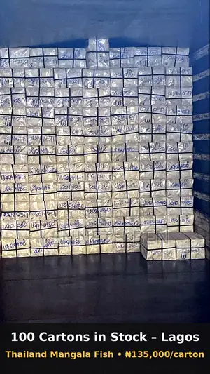 Thailand Mangala Cut Cut Fish – 10kg Carton, Free Lagos Delivery