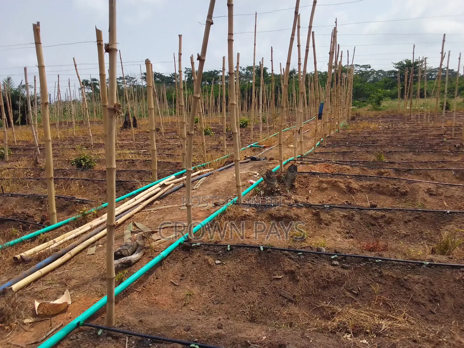 Opening Field Irrigation Setup/Farm Setup