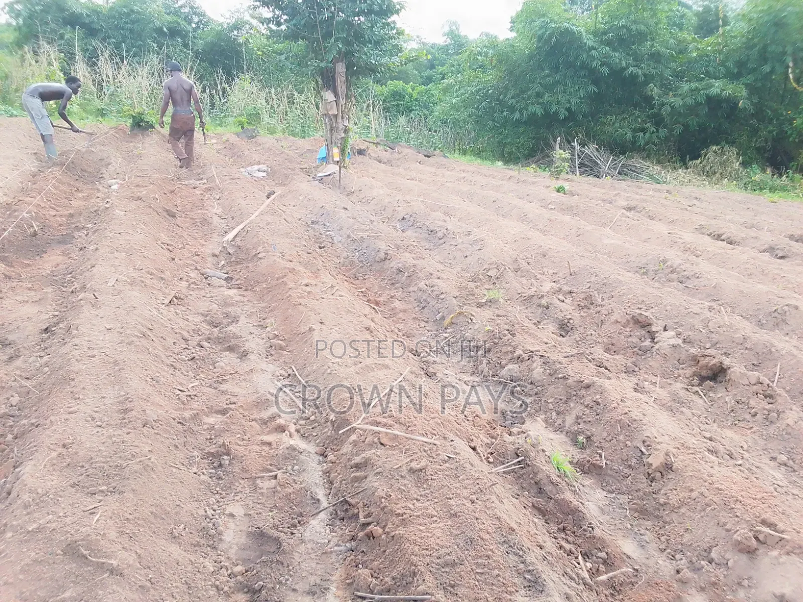 Opening Field Irrigation Setup/Farm Setup