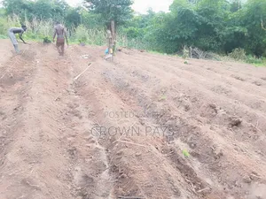 Opening Field Irrigation Setup/Farm Setup