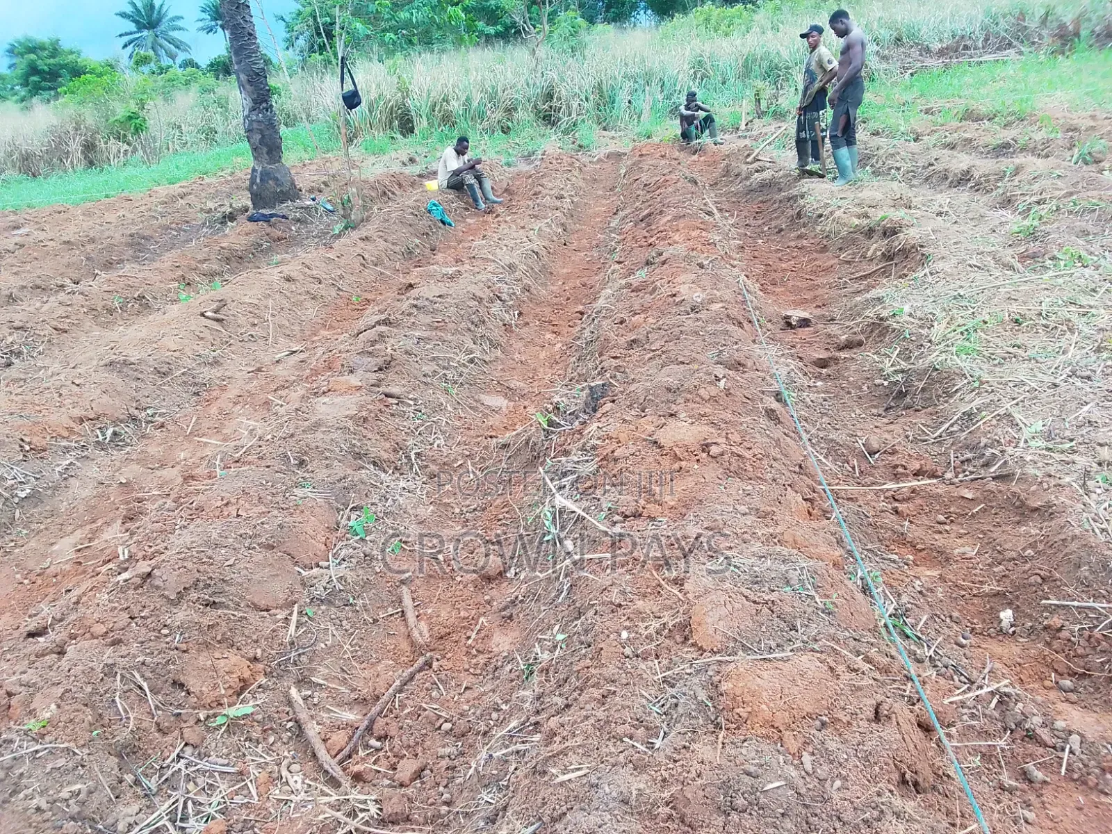 Opening Field Irrigation Setup/Farm Setup