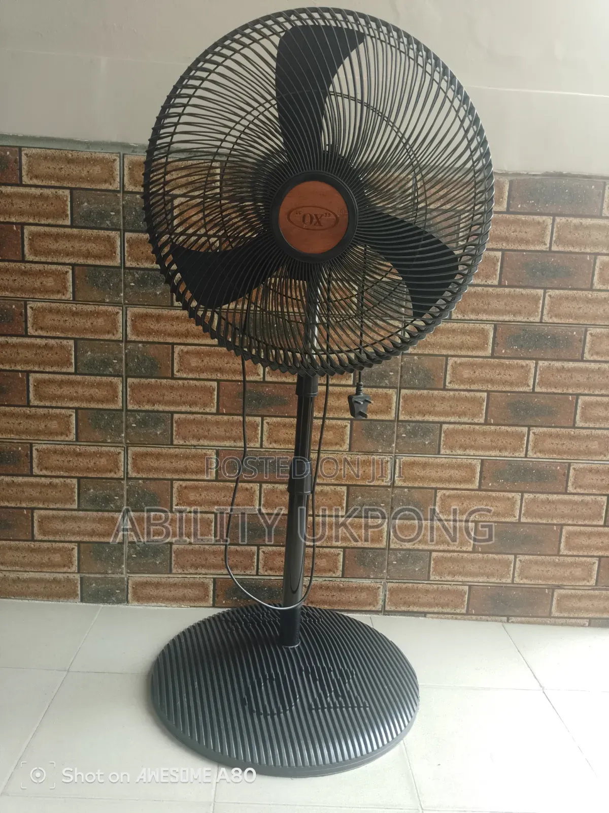 Standing Fan