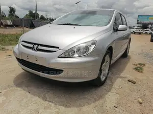 Peugeot 307 2007 Silver
