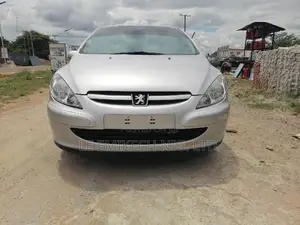 Peugeot 307 2007 Silver