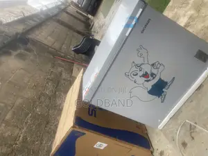 Skyrun 200L Inverter Chest Freezer – A Smart Addition to Your Home