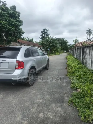 Ford Edge 2010 Silver