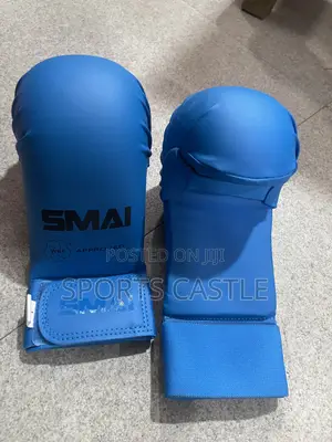 Karate Gloves