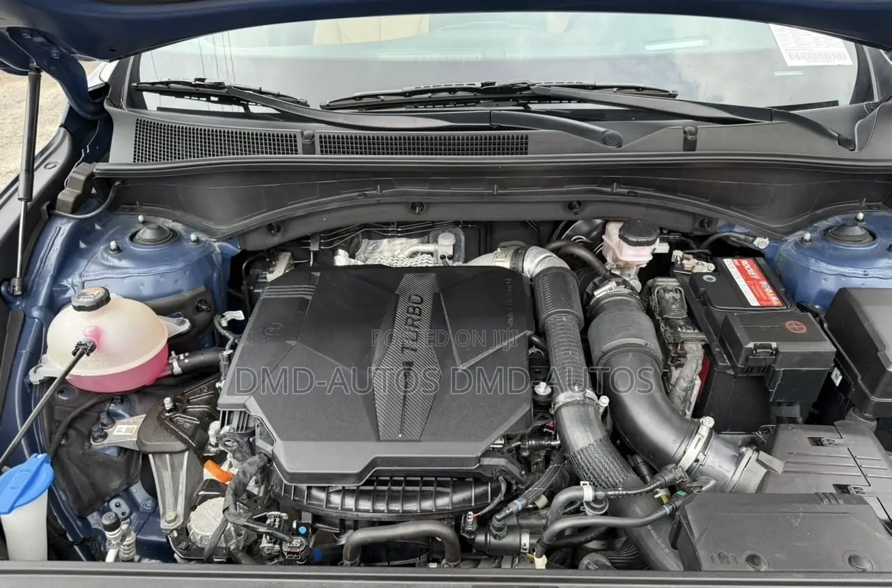 Hyundai Santa Fe Limited 2022 Blue