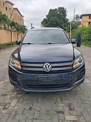 Volkswagen Tiguan 2013 Blue