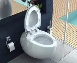 Wall Hang Water Closet