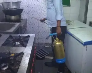 Fumigation, Disinfection, Bed Bug Removal Service in Ile Ife and Ilesa