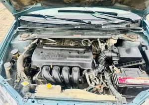 Toyota Corolla 2005 Green
